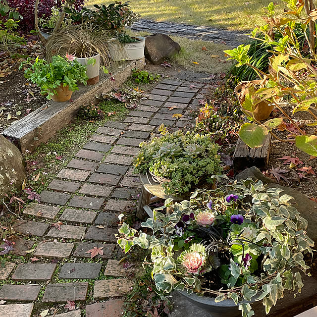 nobikoさんの部屋