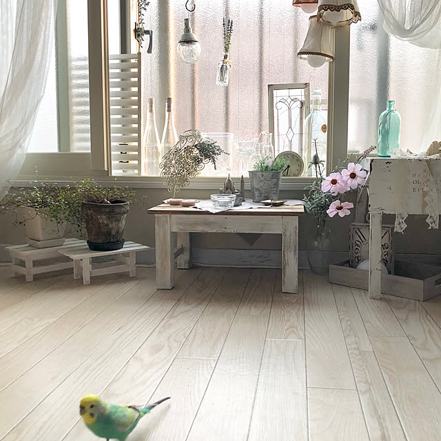 tarさんの実例写真