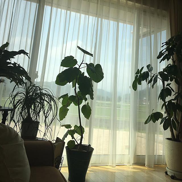 sanw2225719さんの実例写真