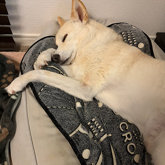 tanboさんの部屋