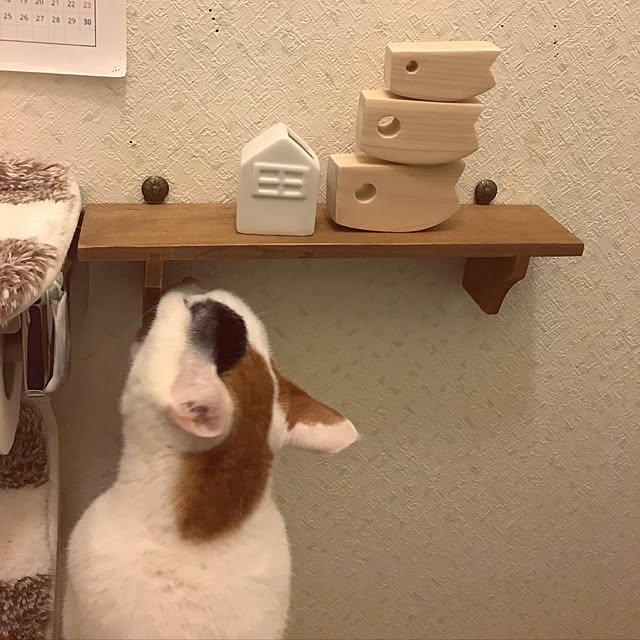 ichi.さんの実例写真