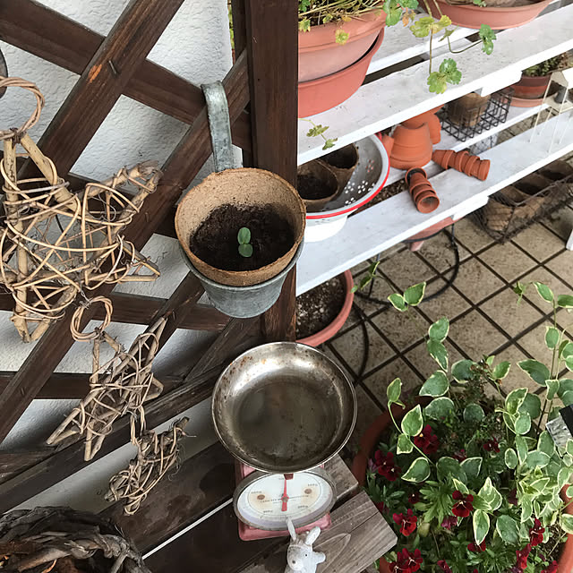 Yoshikoさんの実例写真