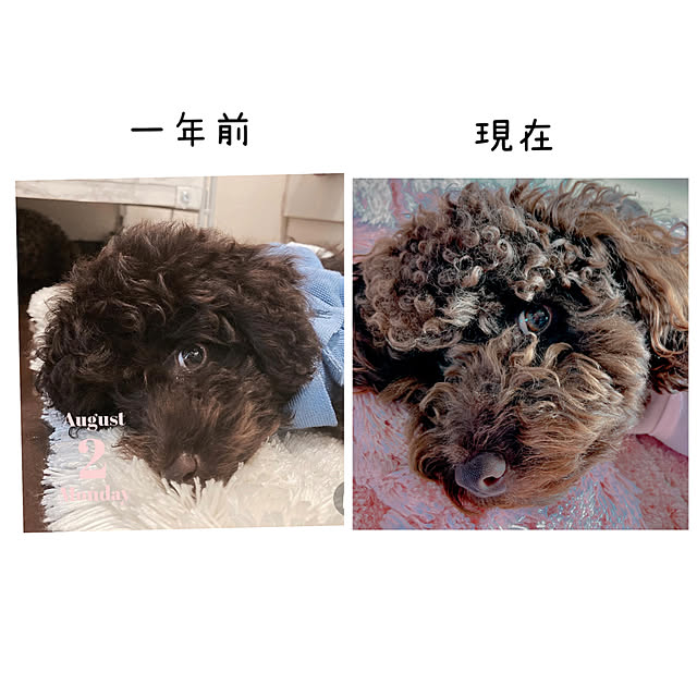Mayさんの実例写真