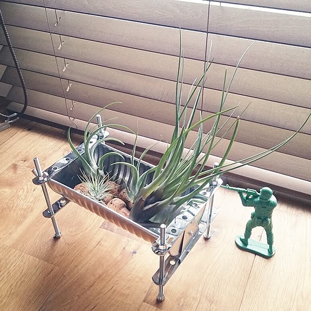 renarionさんの実例写真