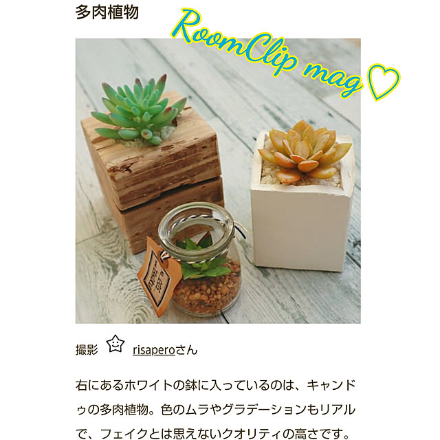 実例写真