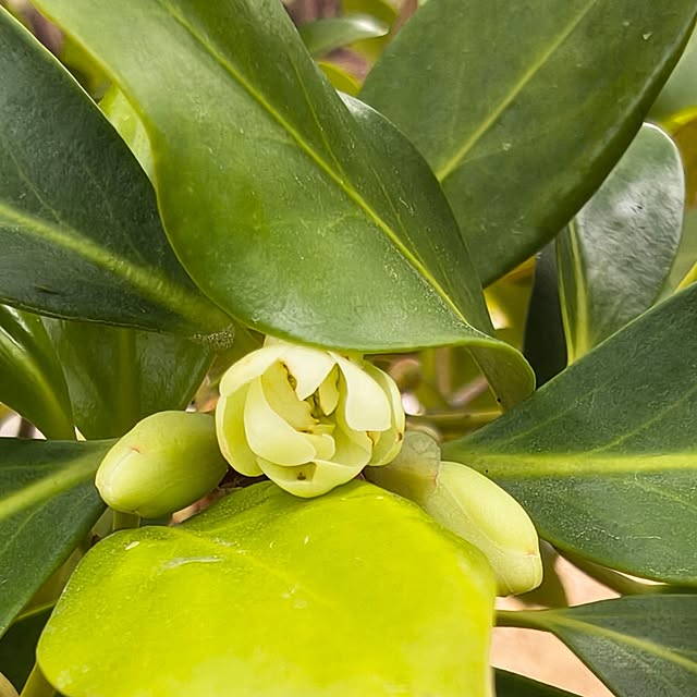 Rubiconさんの部屋