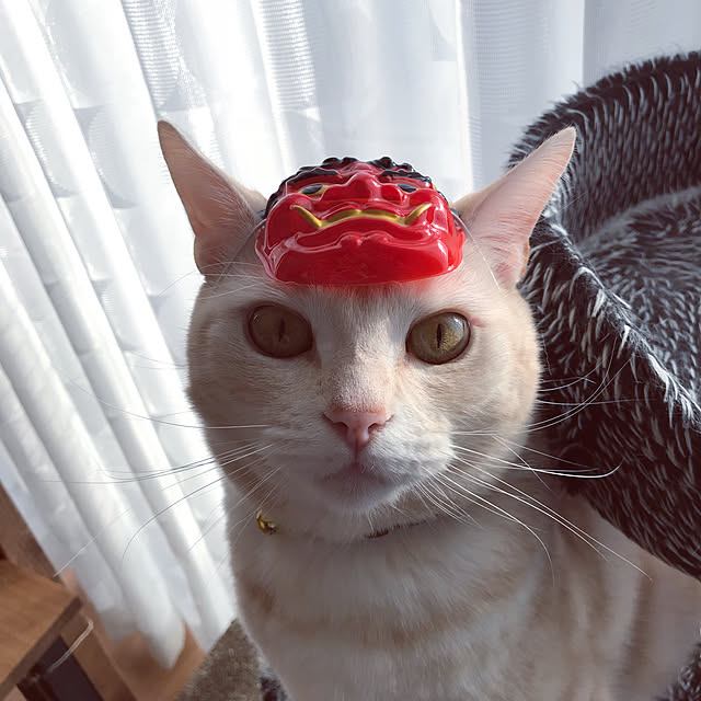 hiyupan88さんの実例写真