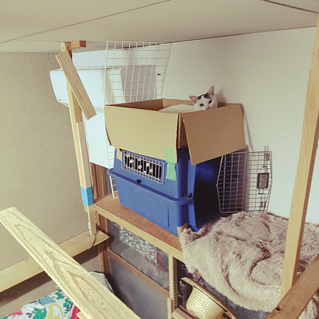 uchizukonyanさんの実例写真