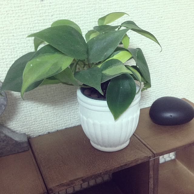 runtenさんの実例写真