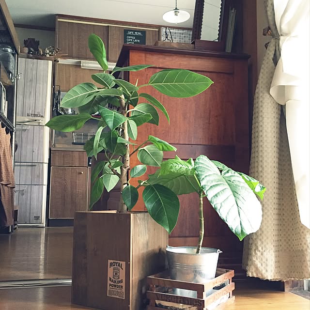 calmsweetsweetさんの実例写真