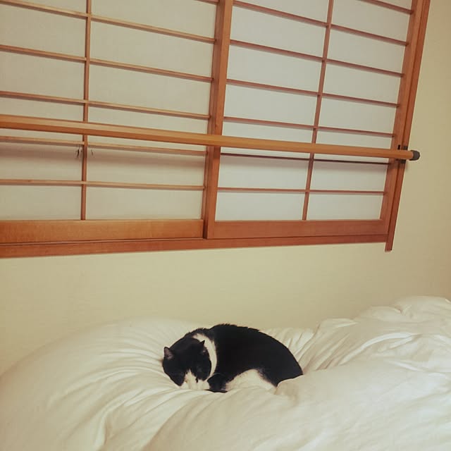 kumaさんの実例写真