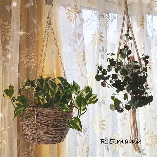 R.5.mamaさんの実例写真