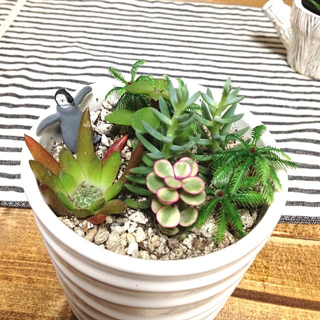 実例写真