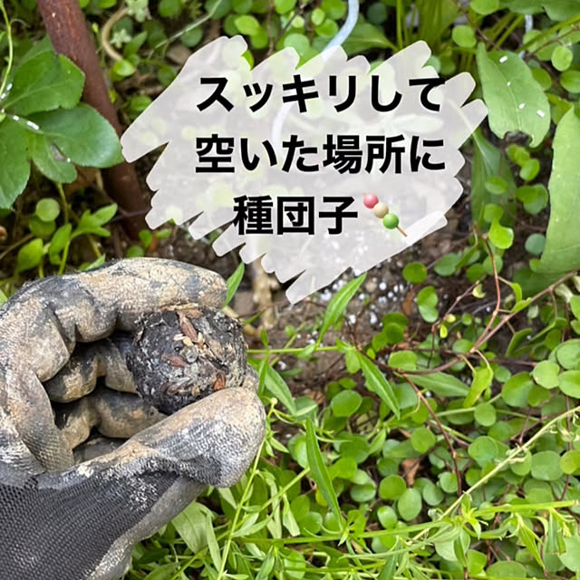 mayumiさんの部屋