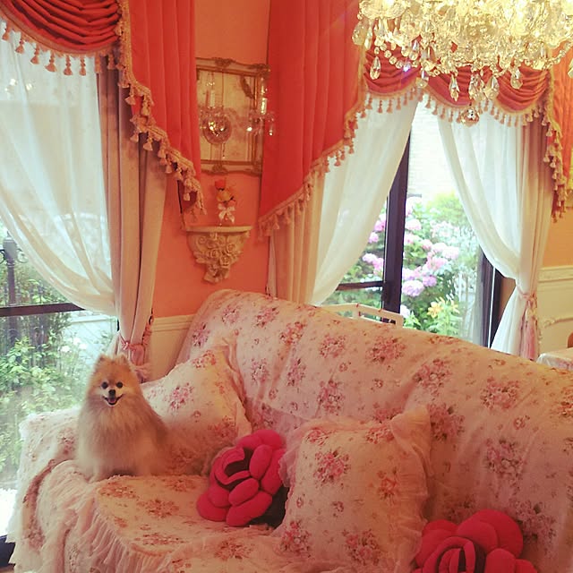 yuuandkoroさんの実例写真
