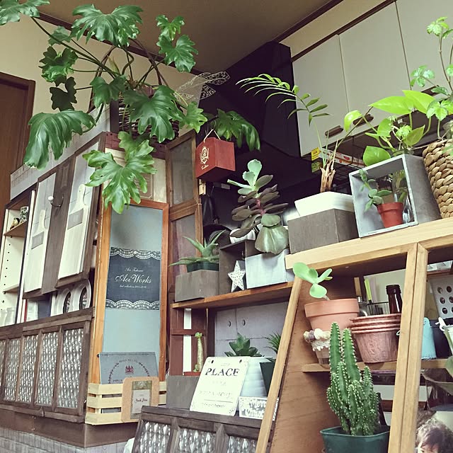 Norikoさんの実例写真