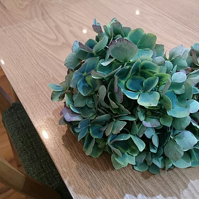 16Novemberさんの実例写真