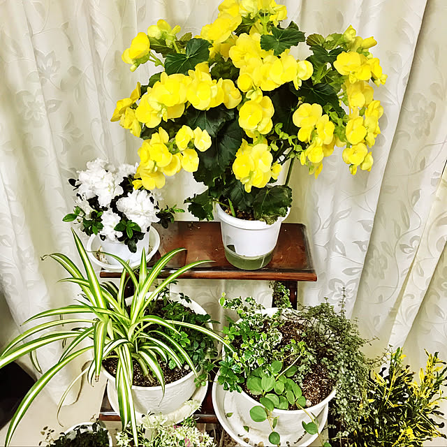 yuko25さんの実例写真