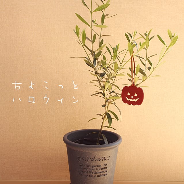 hikakoさんの実例写真