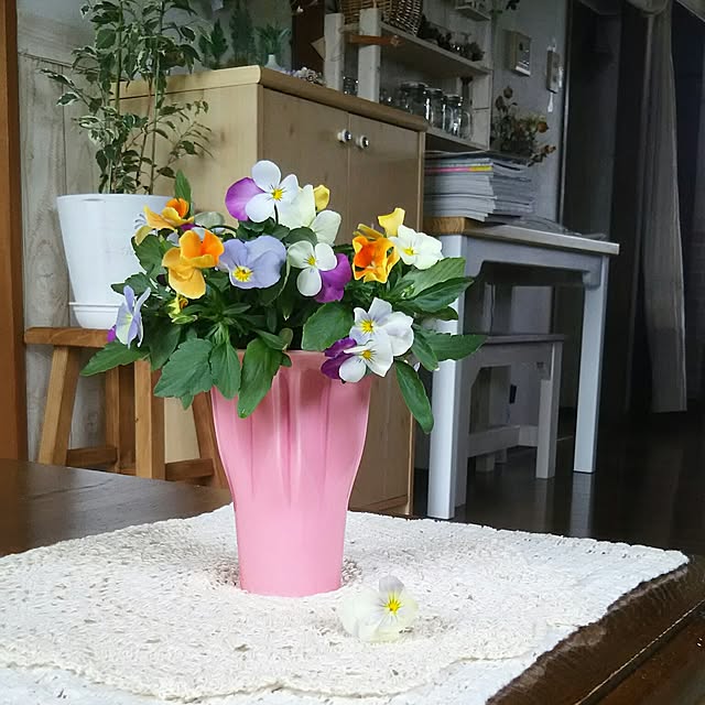 naopyiさんの実例写真