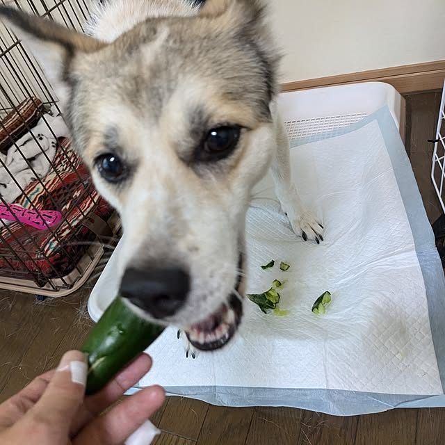 asaさんの部屋