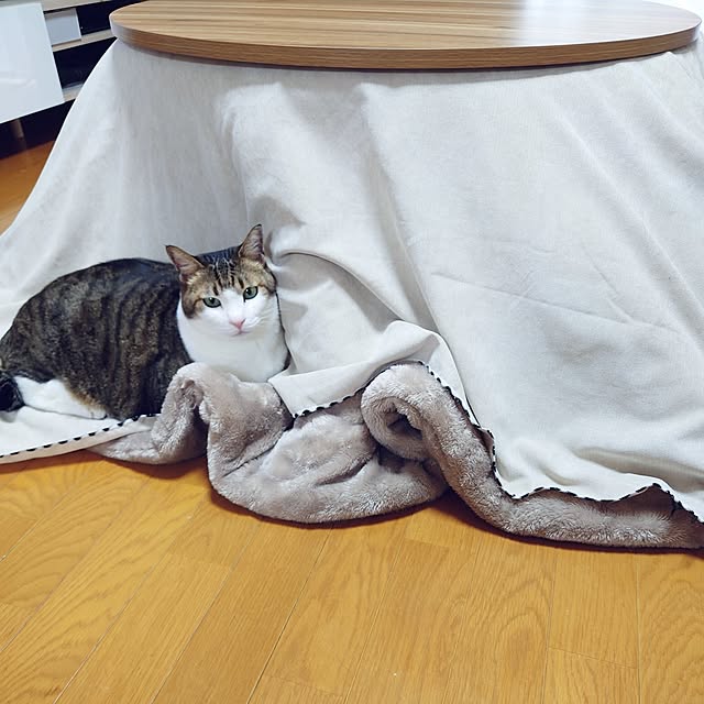 nachiさんの実例写真