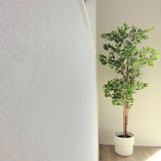 KanbayashiCustomHomeさんの実例写真