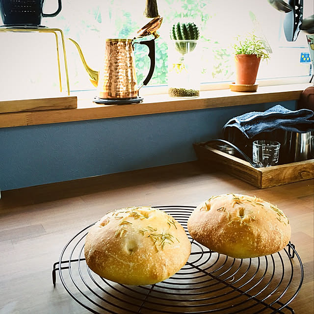 観葉植物/カフェ風/多肉植物/セリア/ダイソー...などのインテリア実例 - 2020-08-15 11:13:59