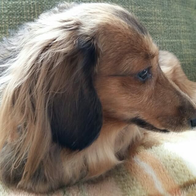 hitomiさんの実例写真
