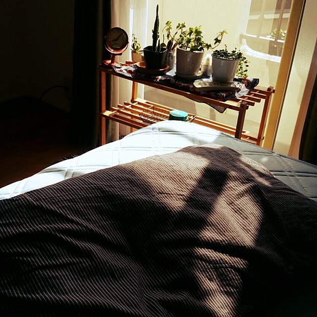 cccさんの実例写真