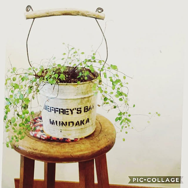 taetae20nikonikoさんの実例写真