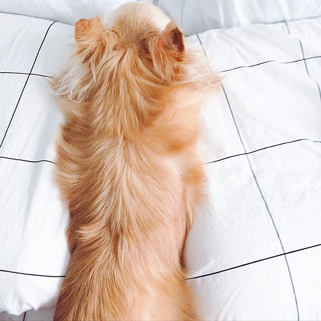 mariさんの実例写真