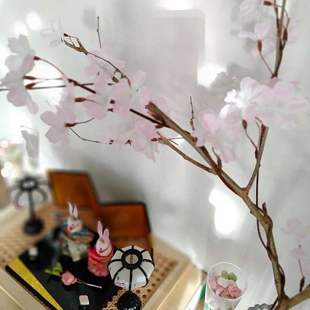 chachaさんの部屋