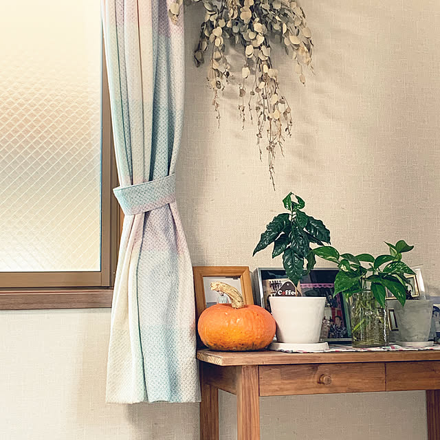 unico カーテン/コーヒーの木/テーブルペイントリメイク/momo natural/かぼちゃ...などのインテリア実例 - 2020-10-18 13:25:31