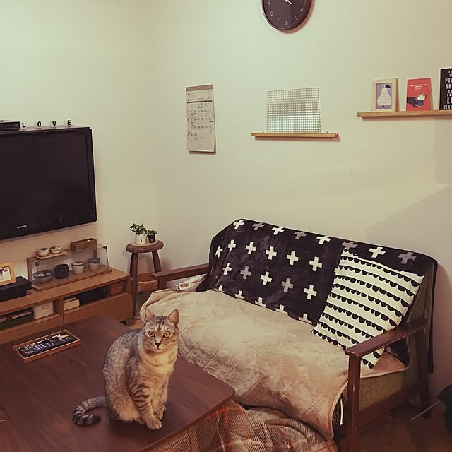 miki1239さんの実例写真