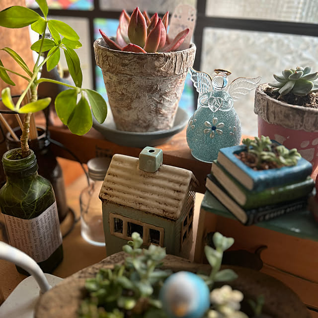 Fumiさんの実例写真