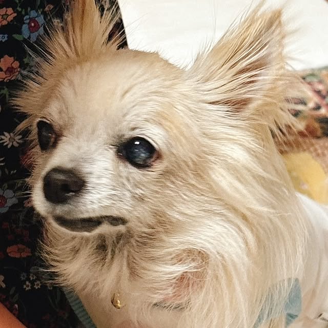 minnieさんの実例写真