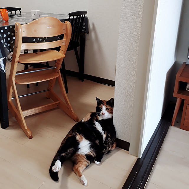 fumiyo.01さんの実例写真