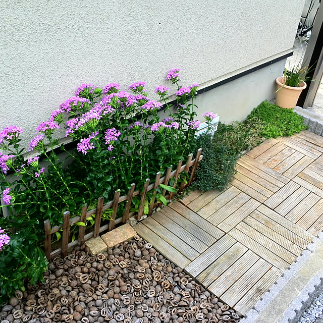 mintさんの実例写真