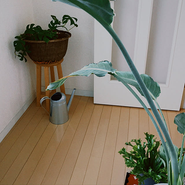 yukiatarIさんの実例写真
