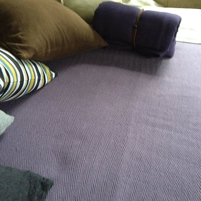 greさんの実例写真
