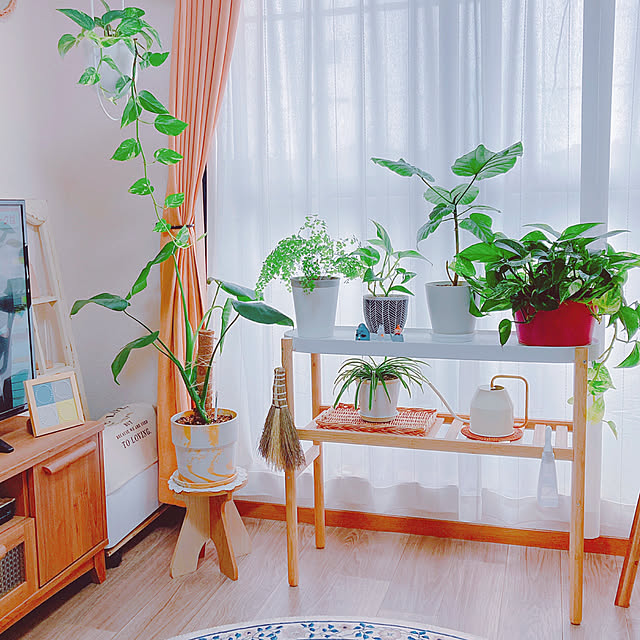 yuyuさんの部屋