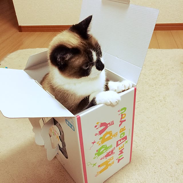mari23さんの実例写真