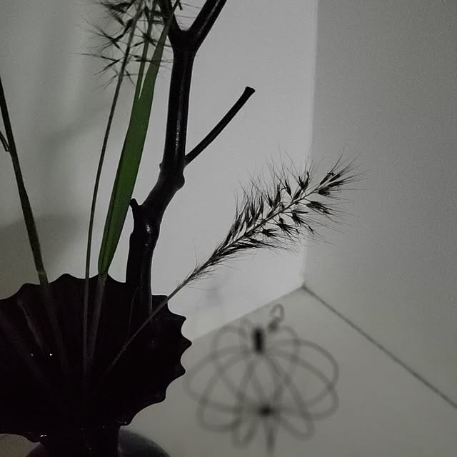 chidorinさんの部屋