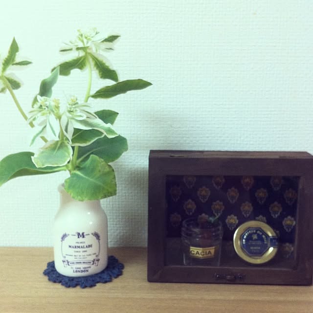 mayumixさんの実例写真