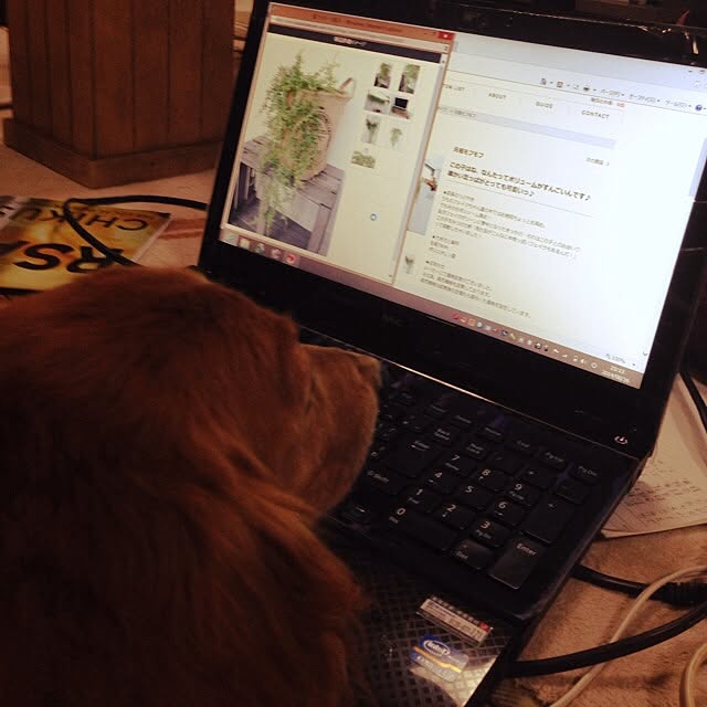 maruさんの実例写真