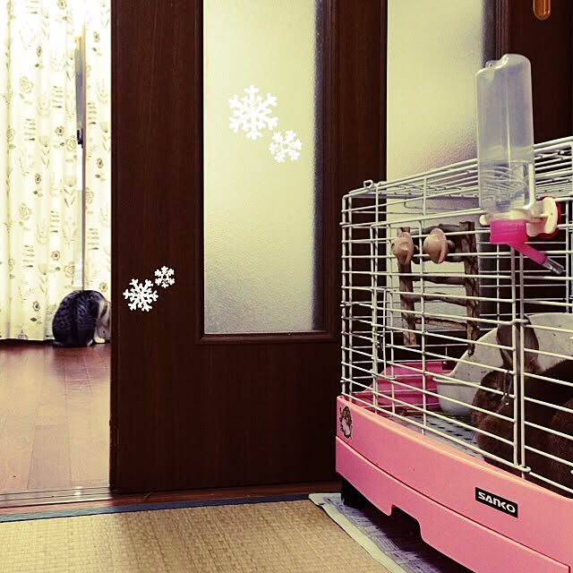 challusagiさんの実例写真