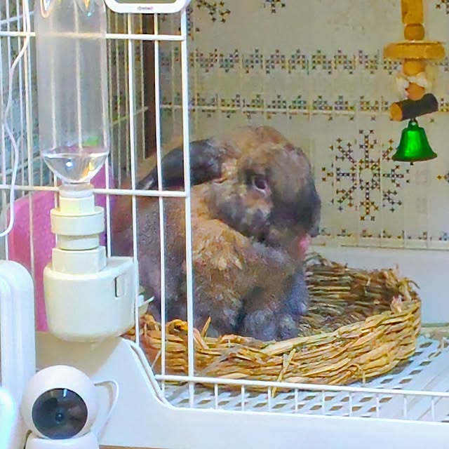 mariaさんの実例写真