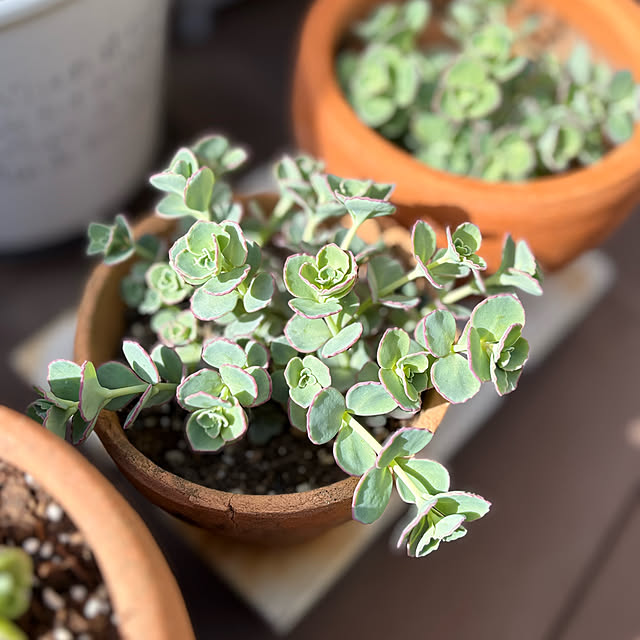 yukkoさんの部屋