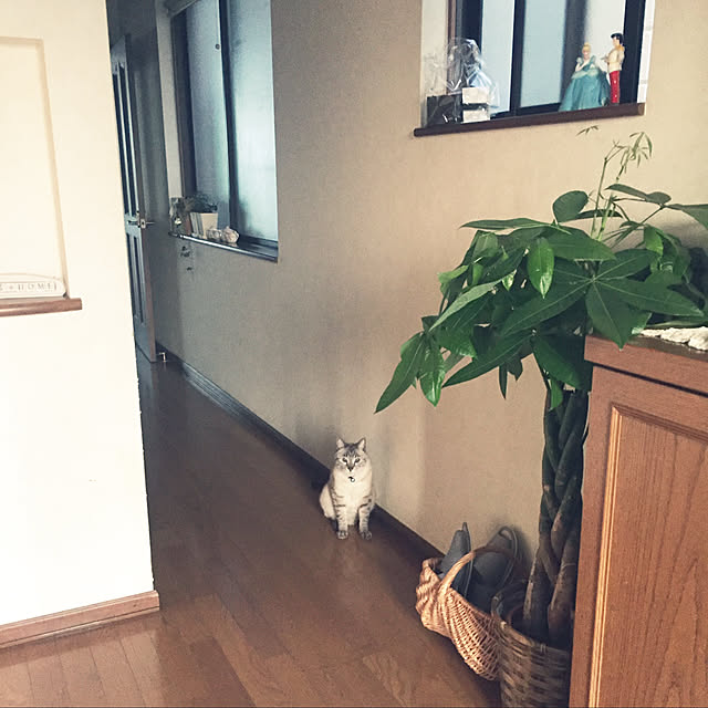 mieさんの実例写真